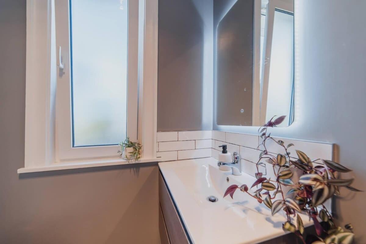 Somerfield Statement - Bold 3br House On Barrington * Christchurch